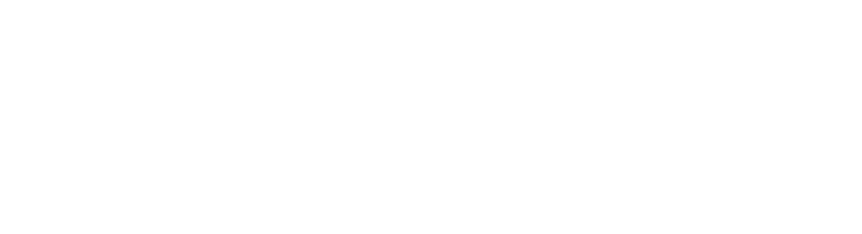 Nuevo Pudahuel